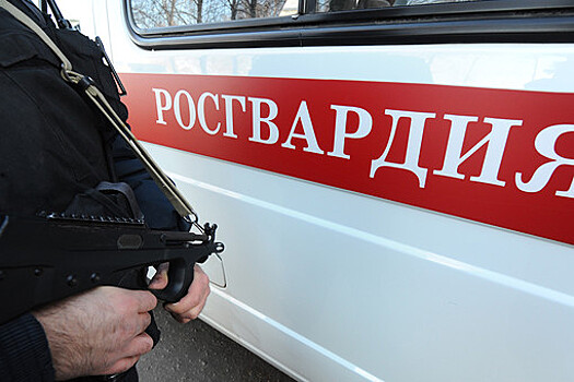 В Волгоградской области водитель устроил стрельбу по пешеходам