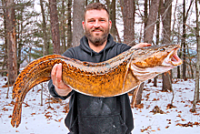Рыболов поймал крупного налима и поставил рекорд