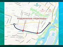 Брянская администрация объявила изъятие земель для новой магистрали