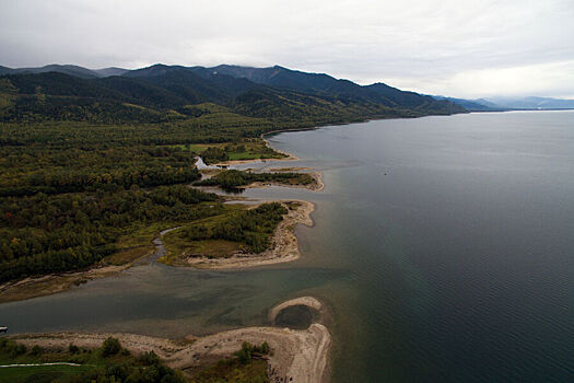 Госдума приняла закон о запрете сплошных рубок на Байкале
