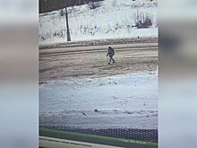 Уголовное дело по факту гибели ребенка возбудили в Дубне