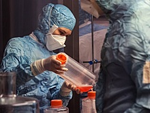 Хроники: обнаружено "суперантитело" против COVID-19