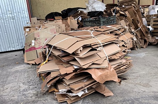 Россиян предупредили о штрафе за вынос больших коробок на свалку