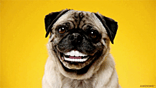 Бьюти-мемы, которые заставят тебя улыбнуться во все 32 зуба!
