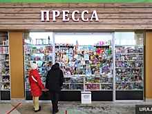 Депутаты в Кургане одобрили отставку главреда провластного СМИ