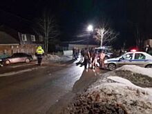 Пьяный бесправник, насмерть сбивший подростка в Бакале, отправлен в СИЗО