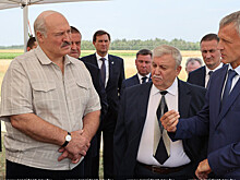 Лукашенко оценил развитие семеноводства в Беларуси