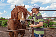 В Мордовии туристам покажут дом-музей Девятаева и родину богатырских коней