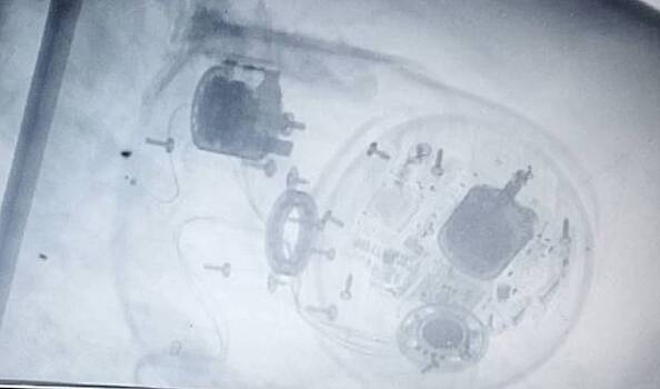 ФСБ показала видео задержания подозреваемых в покушении на одного из высших госдеятелей РФ