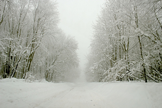 В нацпарке "Самарская Лука" продлили работу "Зимника" до конца марта