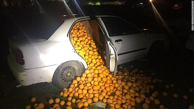 Полиция устроила погоню за похитителями апельсинов в Испании