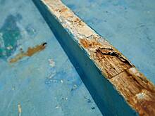 Россиян предупредили об отсутствии воды и неработающих бассейнах в отелях страны Азии