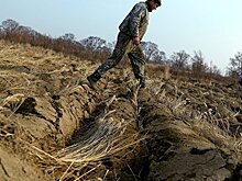 Власти: число владельцев "дальневосточных гектаров" вырастет до 40 тысяч