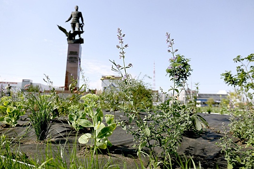 В Новосибирске завершили благоустройство у памятника Покрышкину на площади Маркса