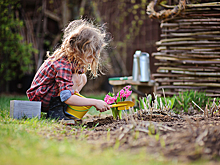 Названы комнатные растения, опасные для детей