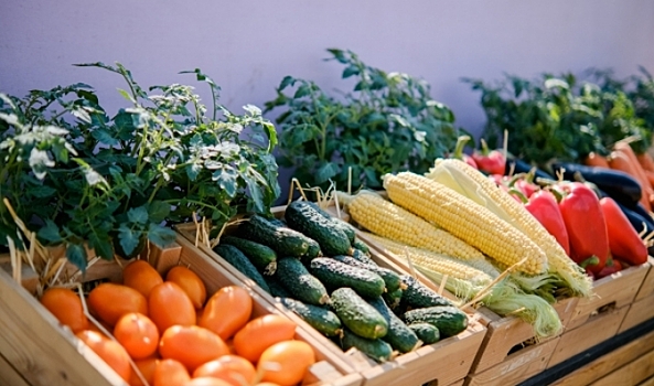 В Волгоградской области выросли цены на помидоры и огурцы, но подешевел лук