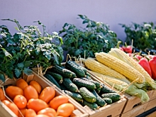 В Волгоградской области выросли цены на помидоры и огурцы, но подешевел лук