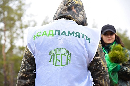 В станице Луганской посадили саженцы нового леса "Память поколений"