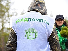 В станице Луганской посадили саженцы нового леса "Память поколений"