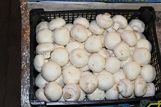 Санкционные грибы и груши обнаружены на Бурнаковском рынке