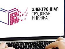 В Марий Эл 46 тысяч жителей предпочитают иметь электронную трудовую книжку