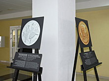 В областной библиотеке в Пензе открыта выставка изображений памятных монет