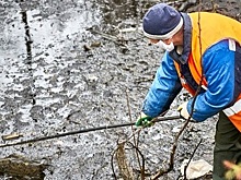 В Красногорске провели субботник в парке «Ивановские пруды»