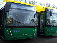 В Пензу начали прибывать новые автобусы для маршрутов № 54, 70 и 130
