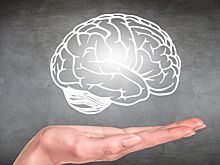 Церебральная мистика: мозг — это душа, компьютер или нечто большее?