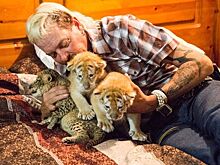 Netflix готовит новые серии «Короля тигров»