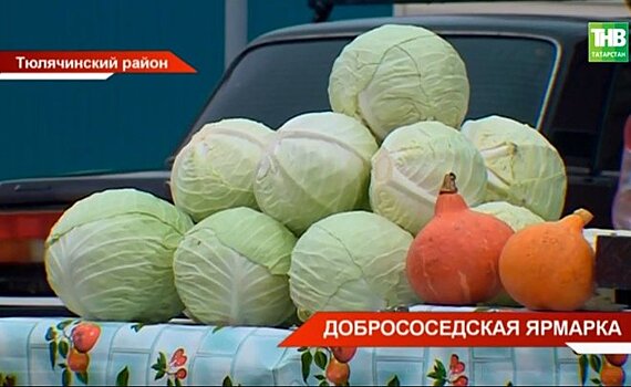 В Тюлячах прошла осенняя сельскохозяйственная ярмарка — видео