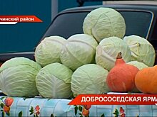 В Тюлячах прошла осенняя сельскохозяйственная ярмарка — видео