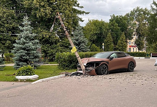 Водитель на электроавтомобиле разгромил сквер и врезался в столб на Бору