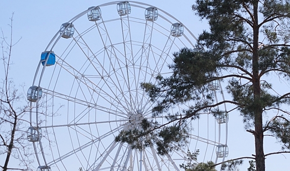 Волгоградцы смогут попробовать жареные каштаны и веганские бургеры в ЦПКиО