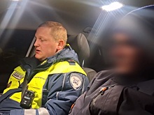 Житель Костромской области уличён полицией в использовании поддельных водительских прав