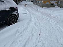 Мэрия планирует взять уборку части дворов Самары на себя