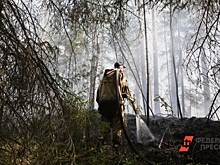 В Челябинской области произошло больше 500 ландшафтных пожаров