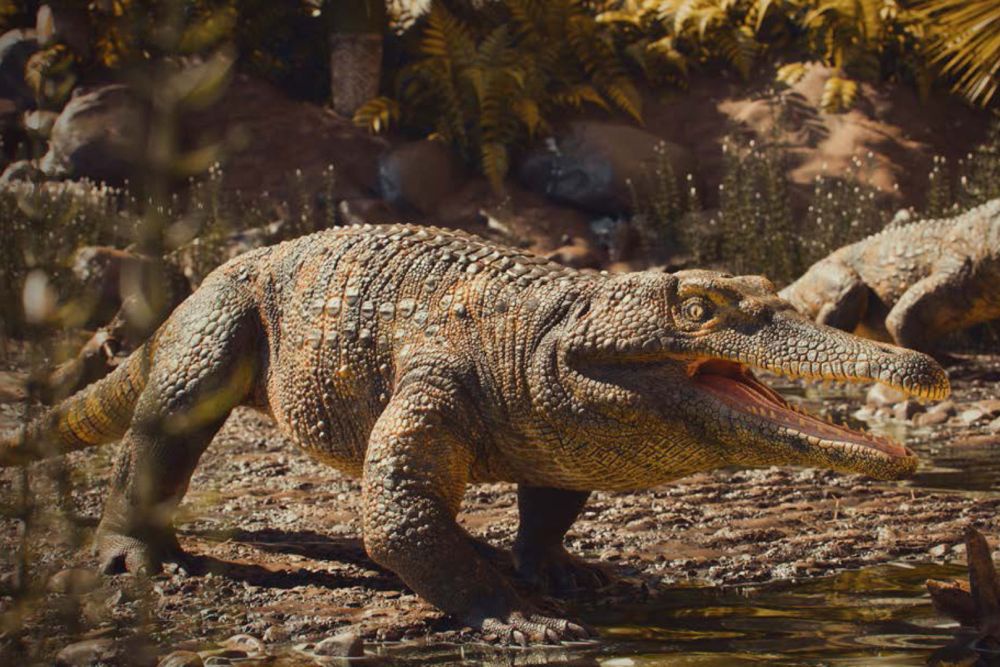 В Бразилии обнаружен новый вид триасовых крокодилов