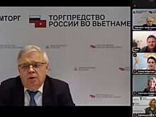 Торгово-экономический потенциал Ростовской области презентовали партнерам из Вьетнама