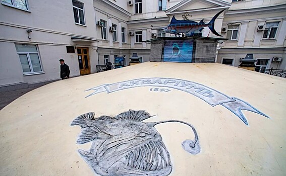 Поврежденный севастопольский аквариум возобновит работу раньше срока