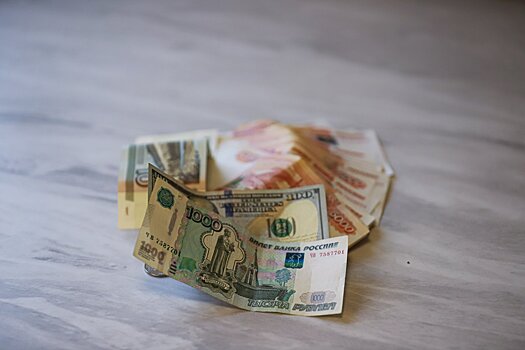 Исследование: 95% россиян хотят увеличить свой доход в 2025 году