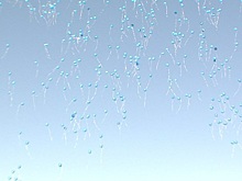 Ольга Сидорова: «особенные» дети — это часть нашей жизни