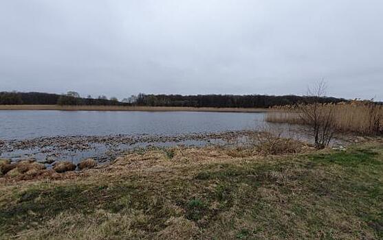Погода в воскресенье порадует жарой