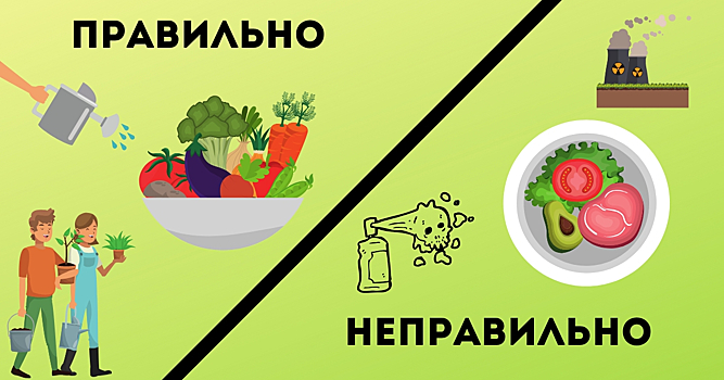 Ученые: органическая пища поможет предотвратить рак