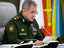 Шойгу: Мы следим за учениями НАТО в Черном море