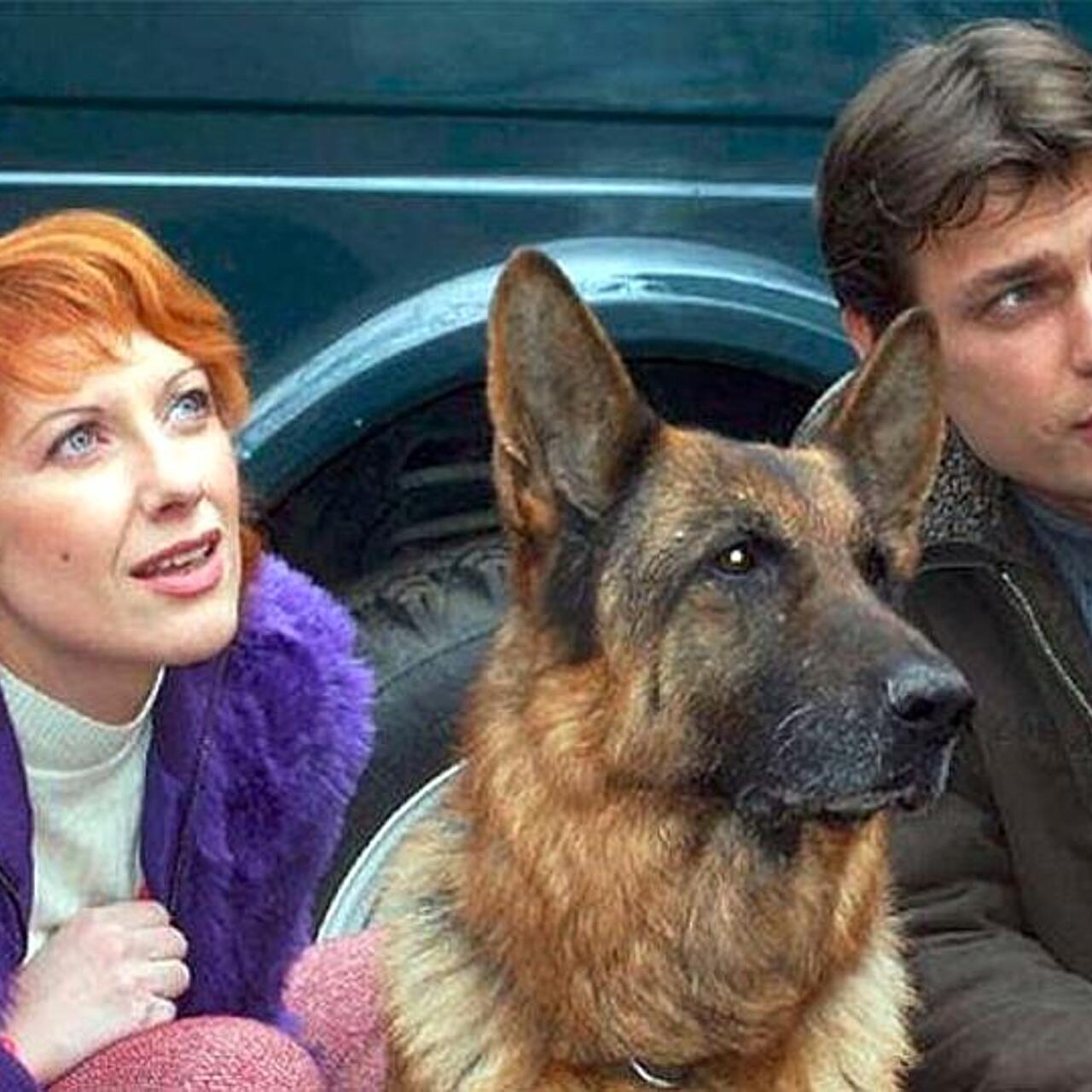 Возвращение мухтара 35. Возвращение мухтара 35. Возвращение мухтара 8. Возвращение мухтара 35. Возвращение мухтара 2 мир.