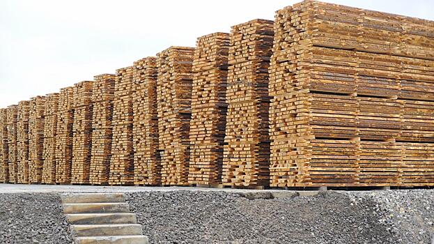Вологодская область занимает ведущее место по объему заготовки древесины в стране