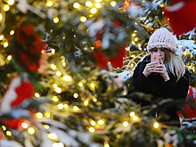 Главную новогоднюю елку России доставили в Кремль