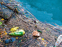 В Белгородской области после удара ВСУ затопило несколько огородов