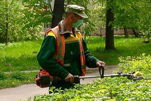 В Чувашии на неплохо оплачиваемые общественные работы отправят 5 тысяч безработных